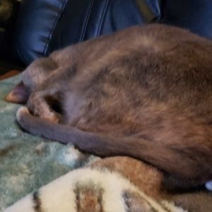 Meet your Posher, Steve